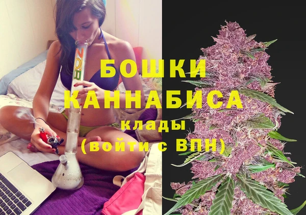спиды Аркадак