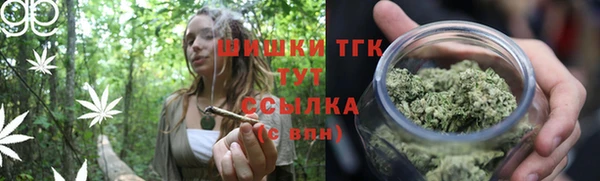 спиды Аркадак
