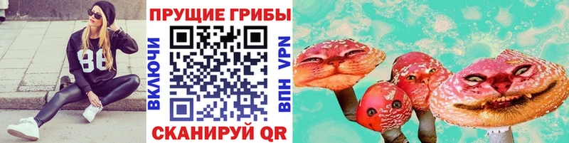 blacksprut зеркало  Петухово  Псилоцибиновые грибы мухоморы 