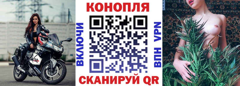 Шишки марихуана план Петухово